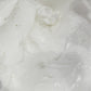 Warm Vanilla Sugar Body Butter